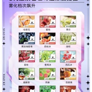 XIAOKE 可替換式電子煙 (相容 RELX6代) (實用款)